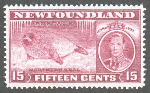 Newfoundland Scott 239 MNH VF (P13.7) - Click Image to Close